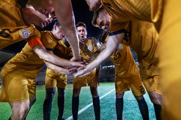 逐步展示出 逐步展示出