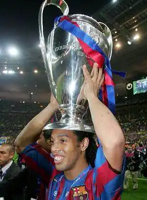 成功地将商 成功地将商