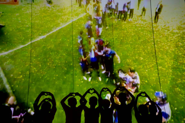 公然辱骂杨 公然辱骂杨